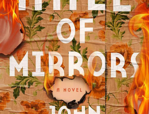 Hall of Mirrors by John Copenhaver